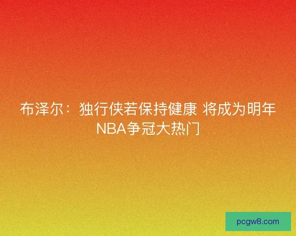 布泽尔:独行侠若保持健康 将成为明年NBA争冠大热门 布泽尔:独行侠若保持健康 将成为明年NBA争冠大热门