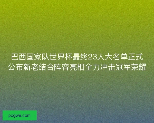 巴西国家队世界杯最终23人大名单正式公布新老结合阵容亮相全力冲击冠军荣耀